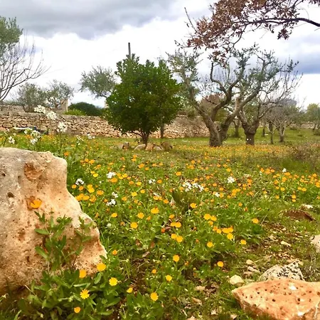 Trullo The Nice *