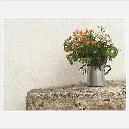 Tatil Evi Trullo The Nice Noci