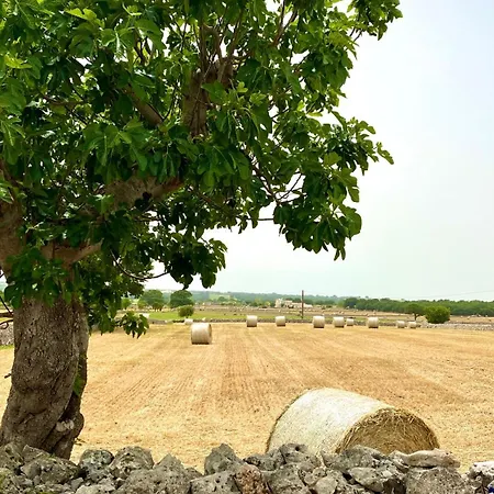 Tatil Evi Trullo The Nice Noci